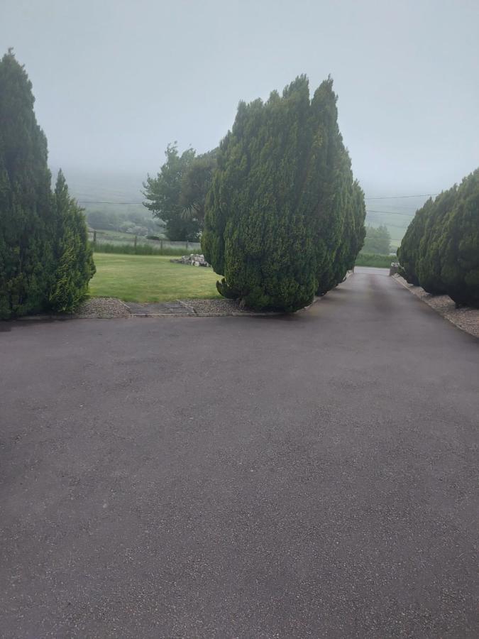Amberley Guest House Gorey Exterior photo